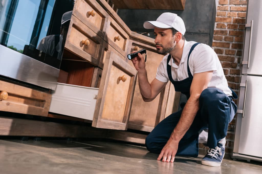 pest control worker examining kitchen with flashlight
