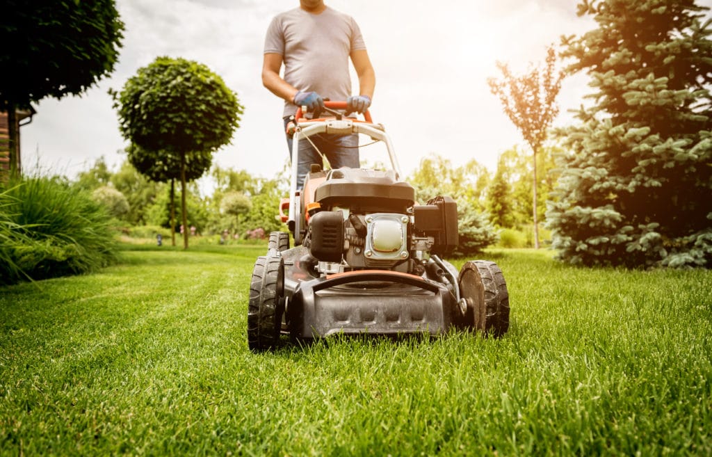 A man mowing his lawn to prevent fleas
