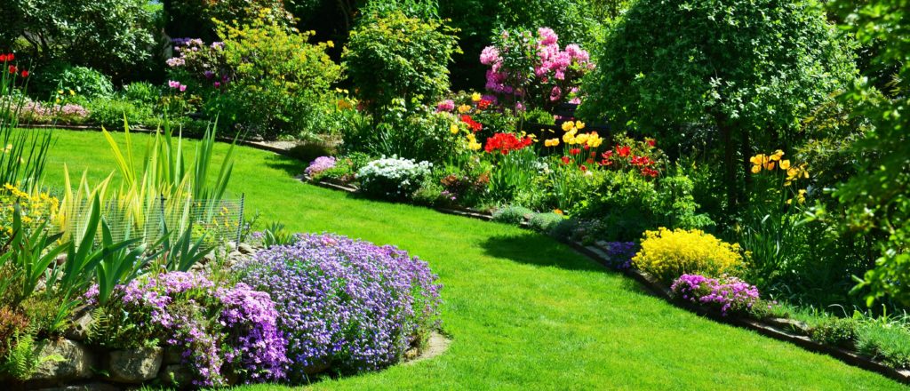 A beautiful backyard garden with healthy, flowering plants