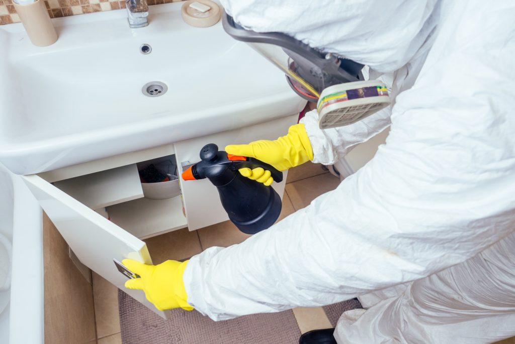 A pest control worker spraying a cabinet under a bathroom sink