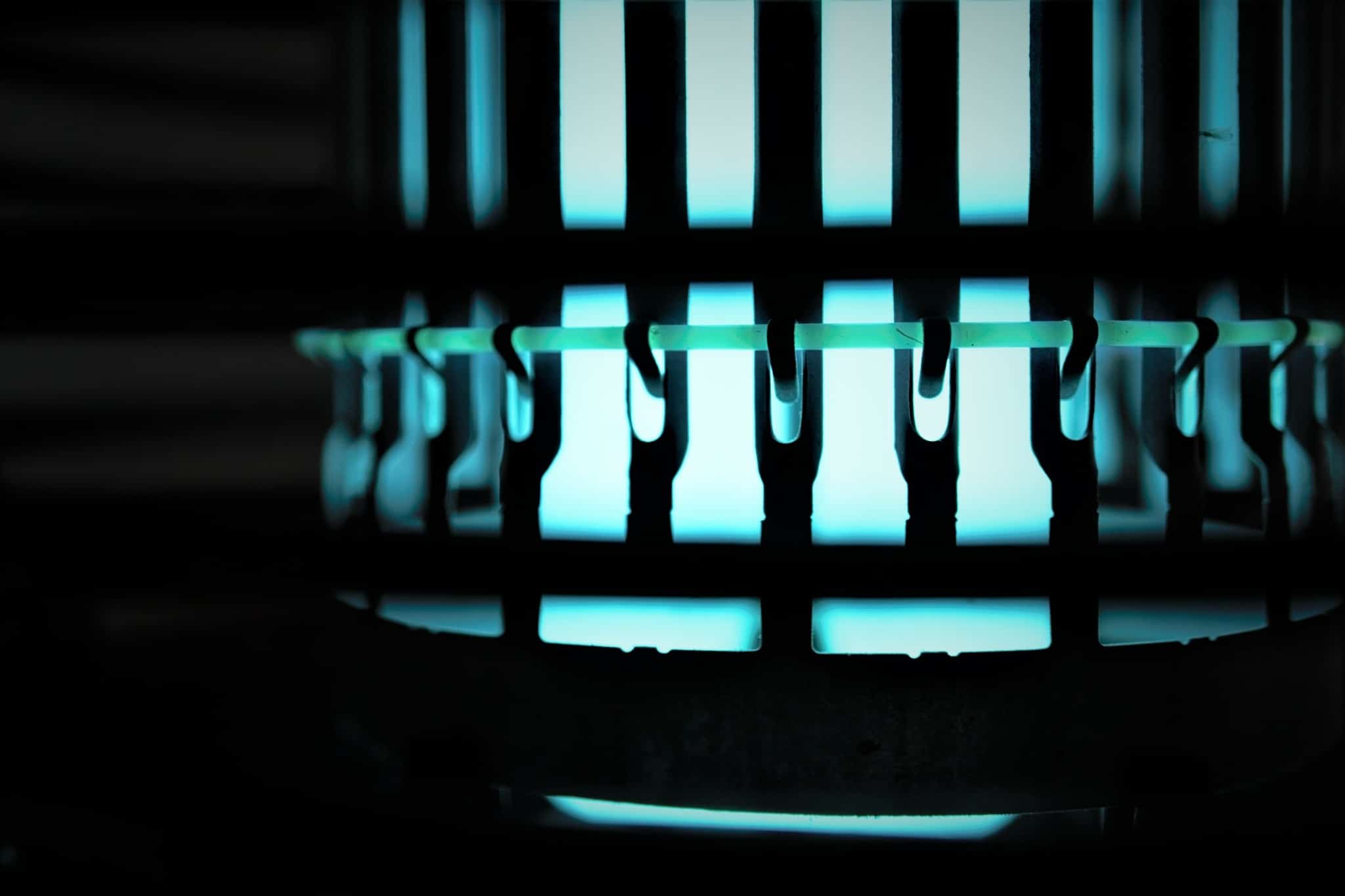 Do LED Lights Attract Bugs?