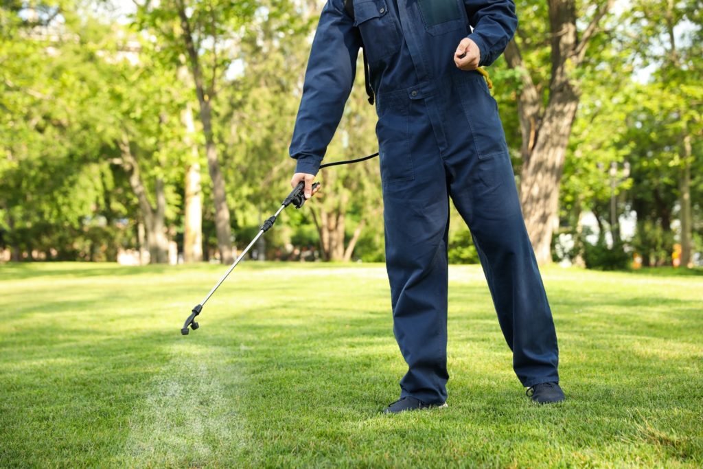 A pest control specialist spray a lawn to help prevent Japanese Beetle grubs