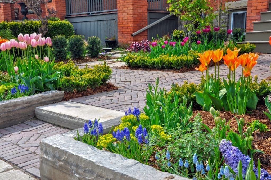  beautiful, urban front yard spring garden features a large veranda, brick paver walkway, retaining wall with plantings of bulbs, shrubs and perennials for colour