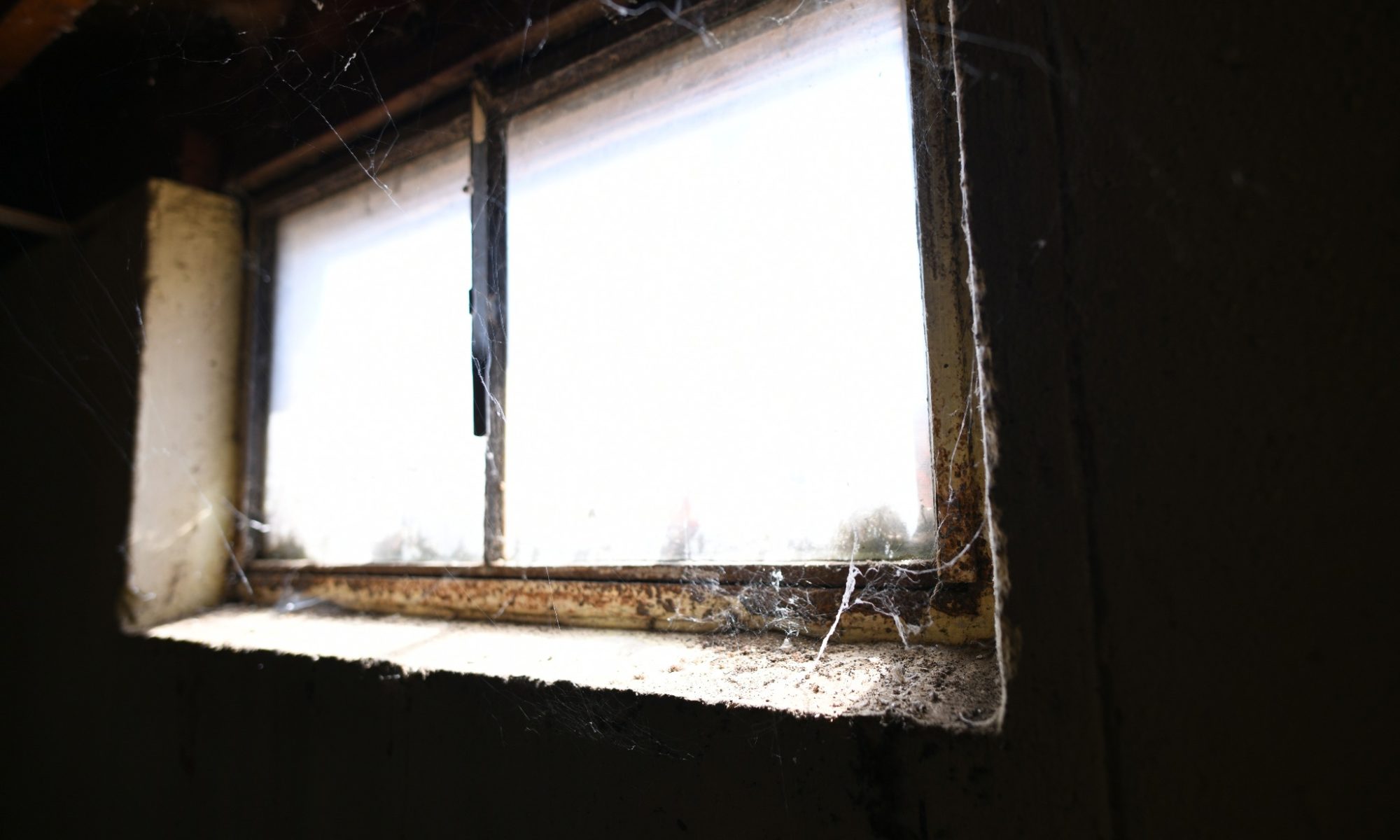 A basement window with cobwebs.