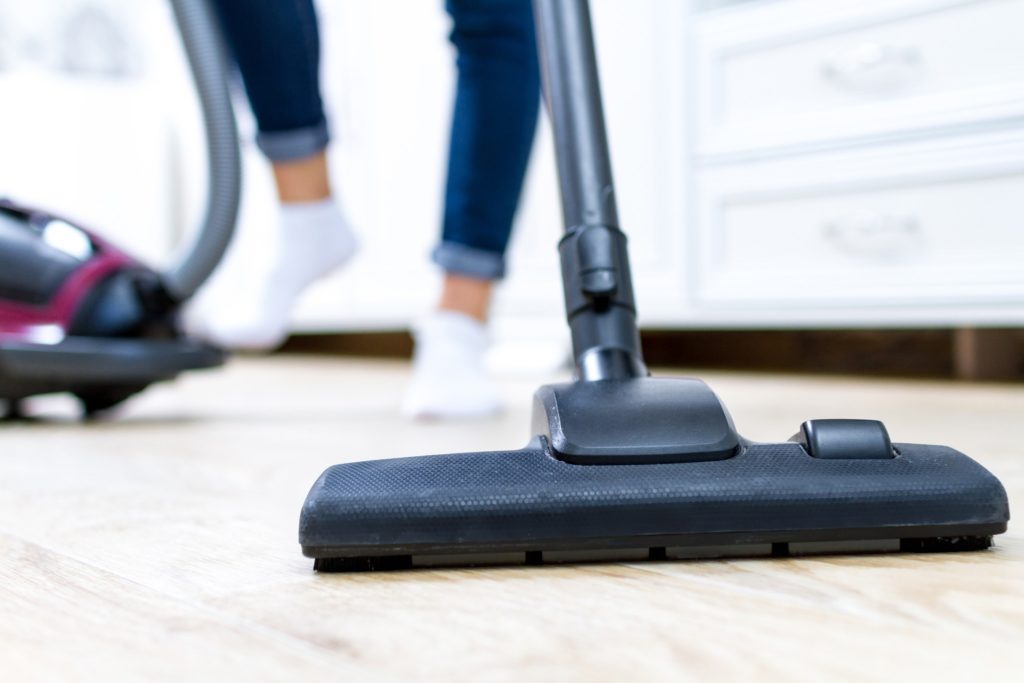A woman in socks vacuuming up stink bugs in her house