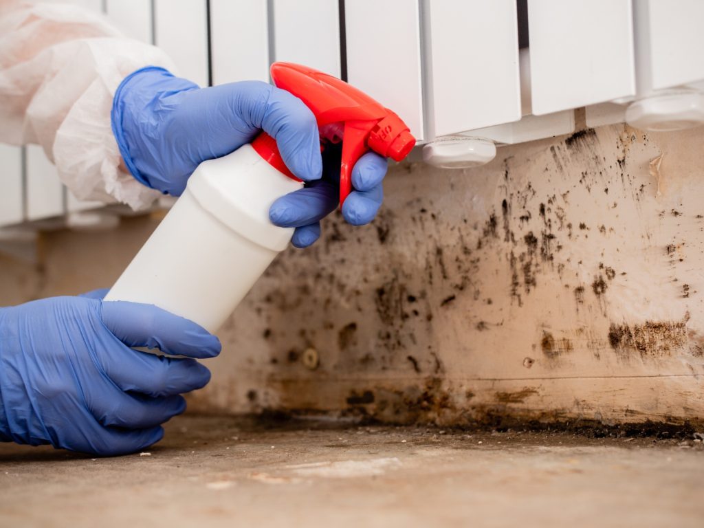 A person using a spray bottle to deep clean. Regular cleaning is one way to help keep pests out of crawl spaces.
