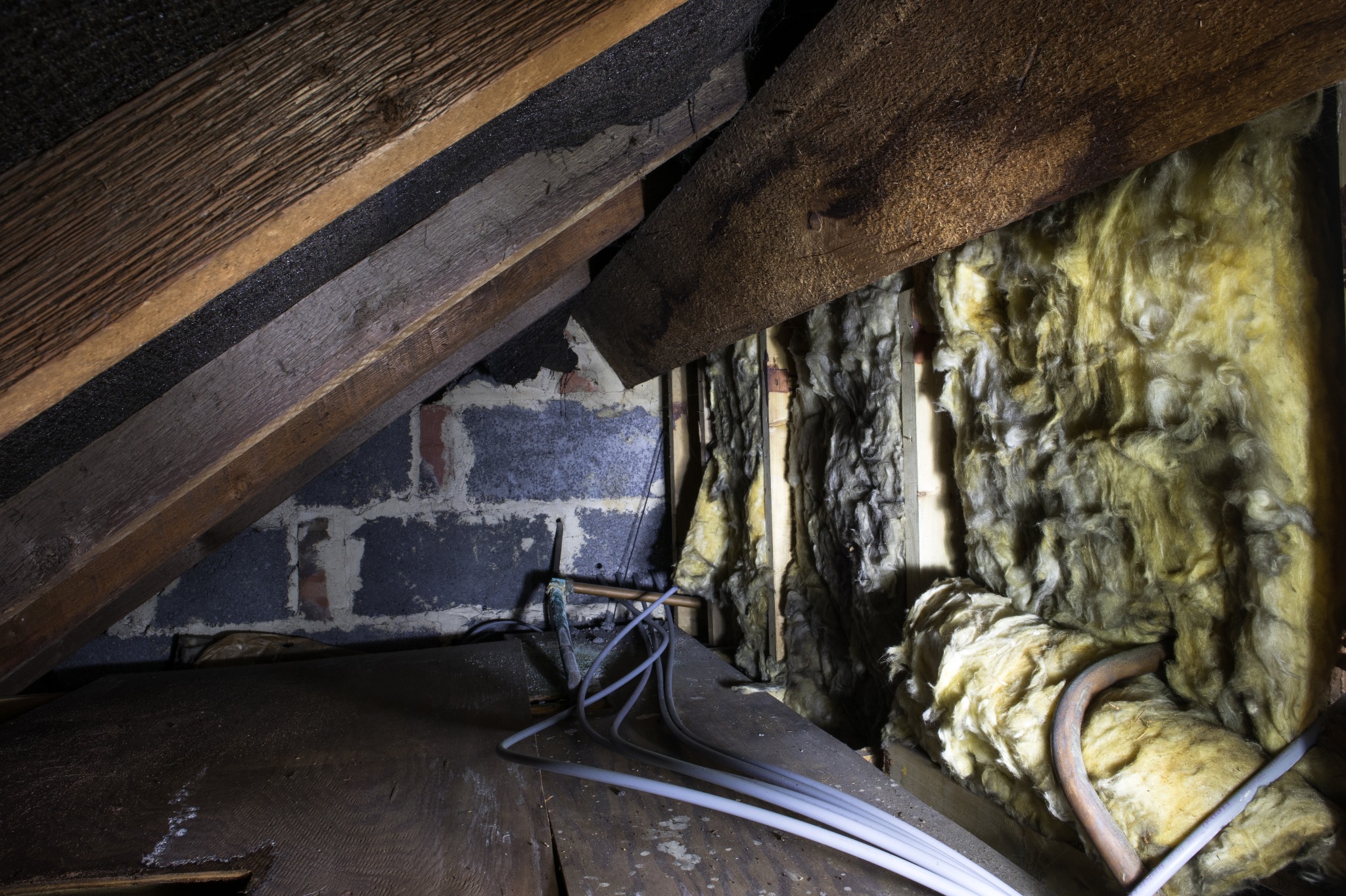 7 Tips to Help Keep Pests Out of Crawl Spaces